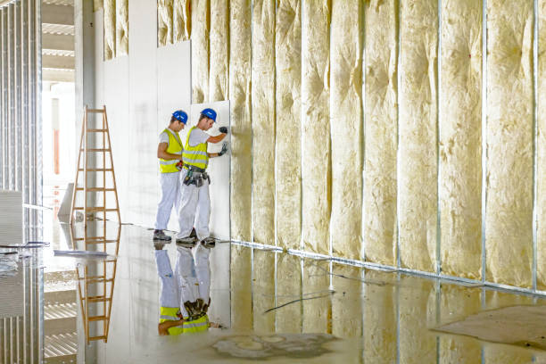 Best Spray Foam Insulation in Moreland, ID